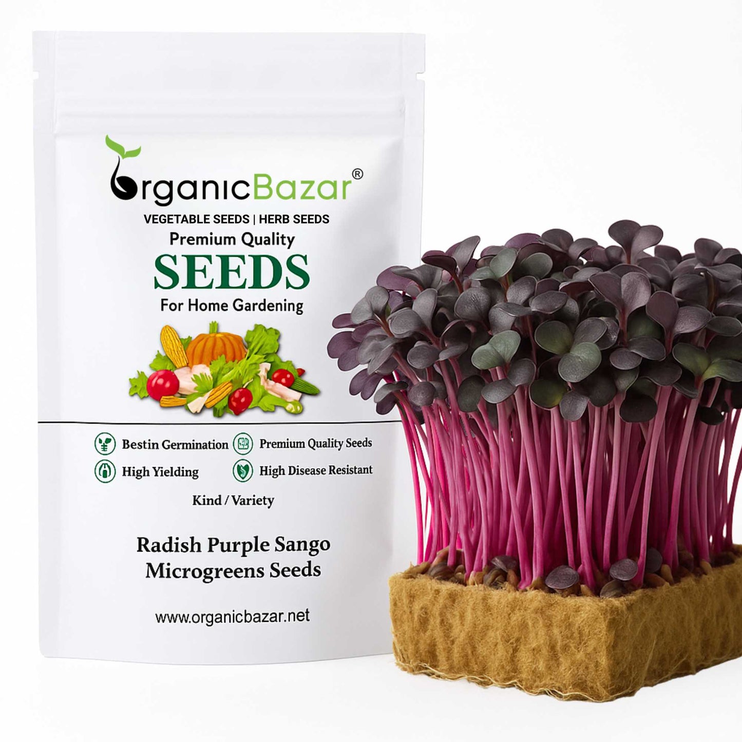 Radish Purple Sango Microgreens Seeds (25g) Easy to Grow, Fresh & Nutty Flavor | OrganicBazar