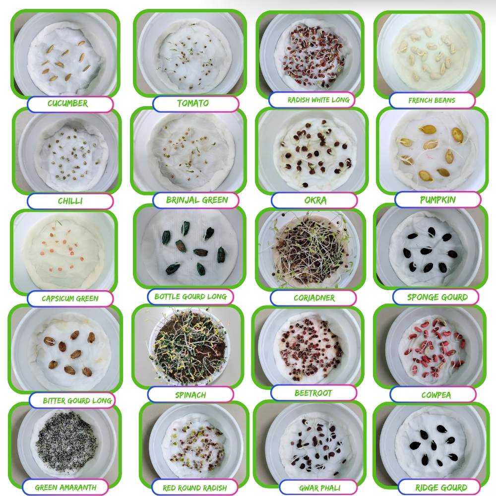 Rainy Season Vegetable Seeds Kit – Pack of 20 Best Vegetable Seeds for Monsoon Gardening | Ideal for Terrace & Kitchen Garden
