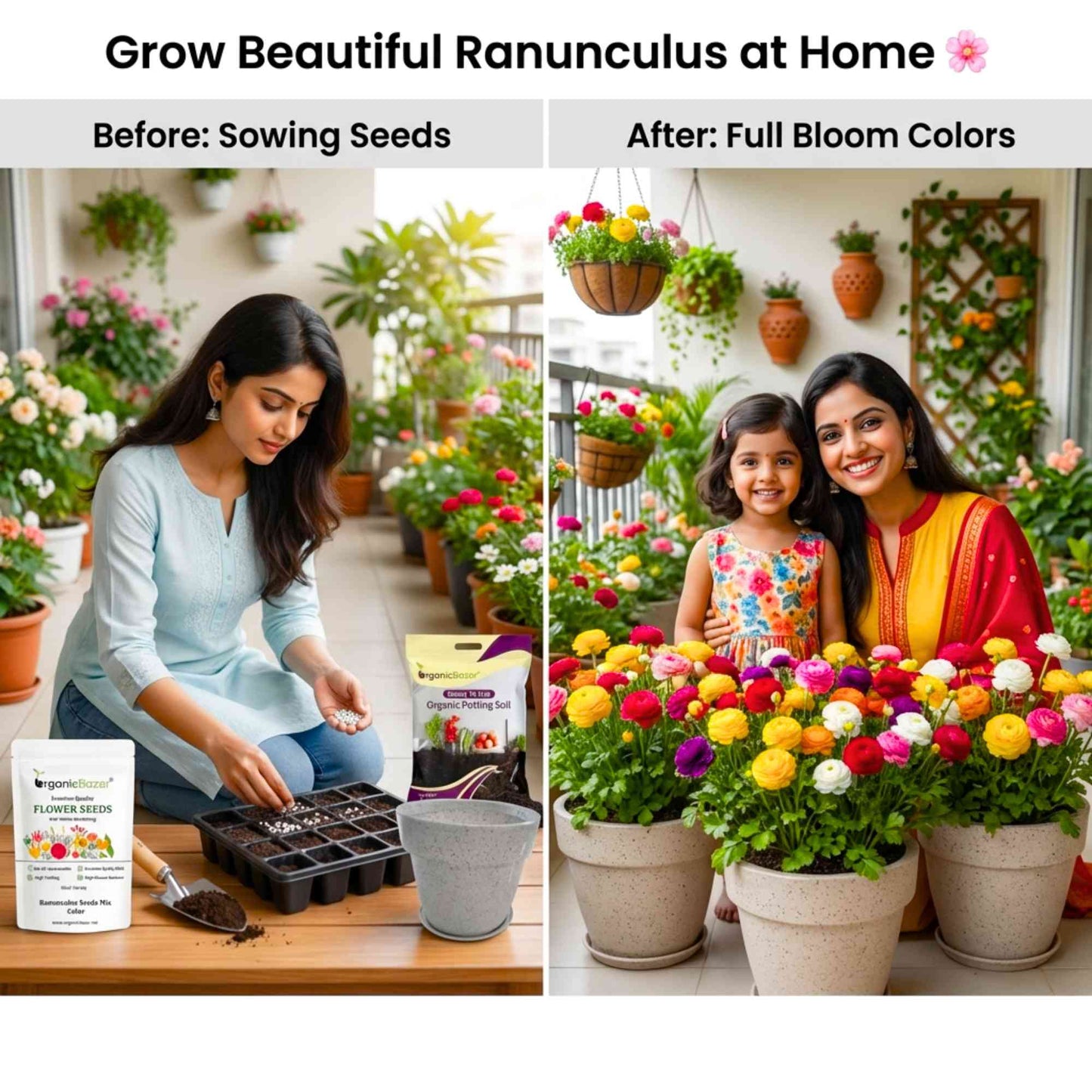 Ranunculus Seeds Mix Color (10 Seeds) High Germination/ Easy To grow/ Perfect for pots, balconies, or Terrace gardens