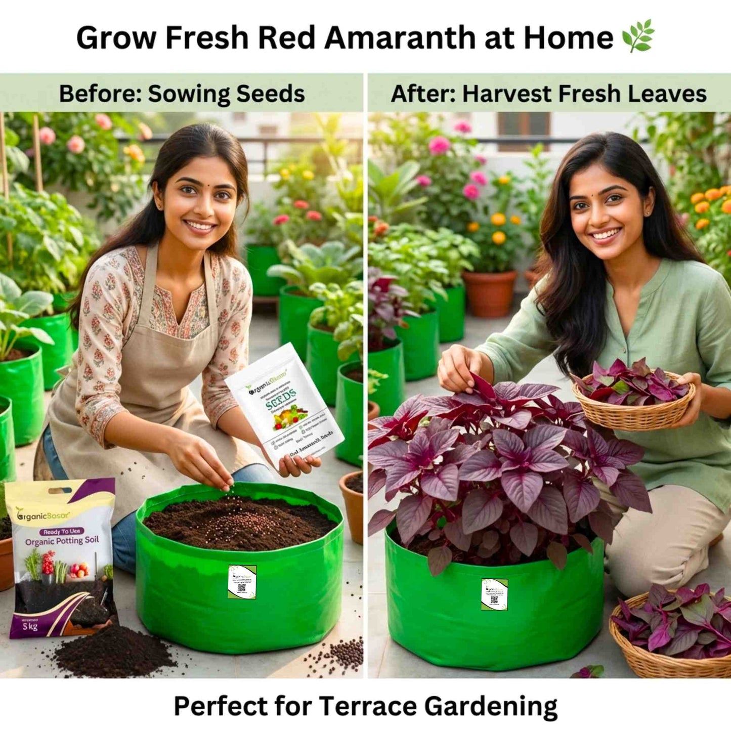 Red amaranth (lal bhaji) Seeds - 5g (लाल चौलाई भाजी के बीज)