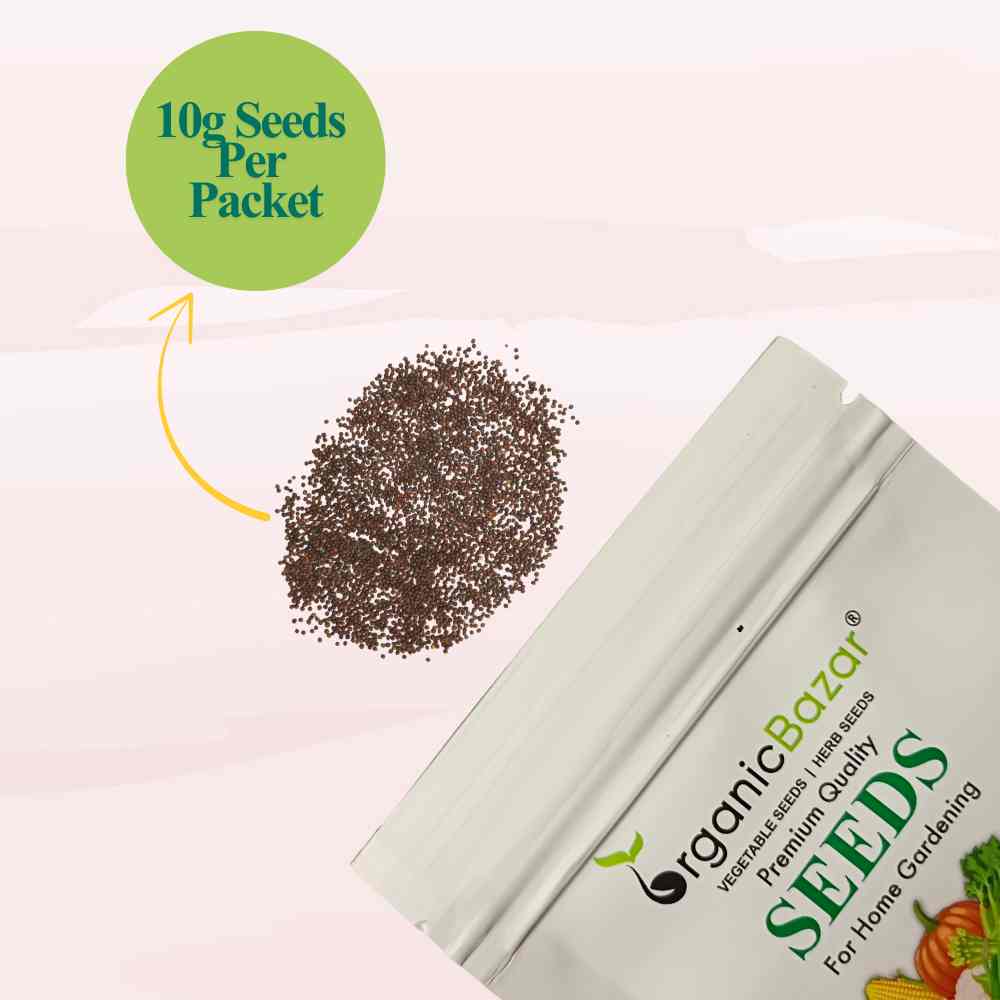 Red Cabbage Microgreen Seeds (10g)