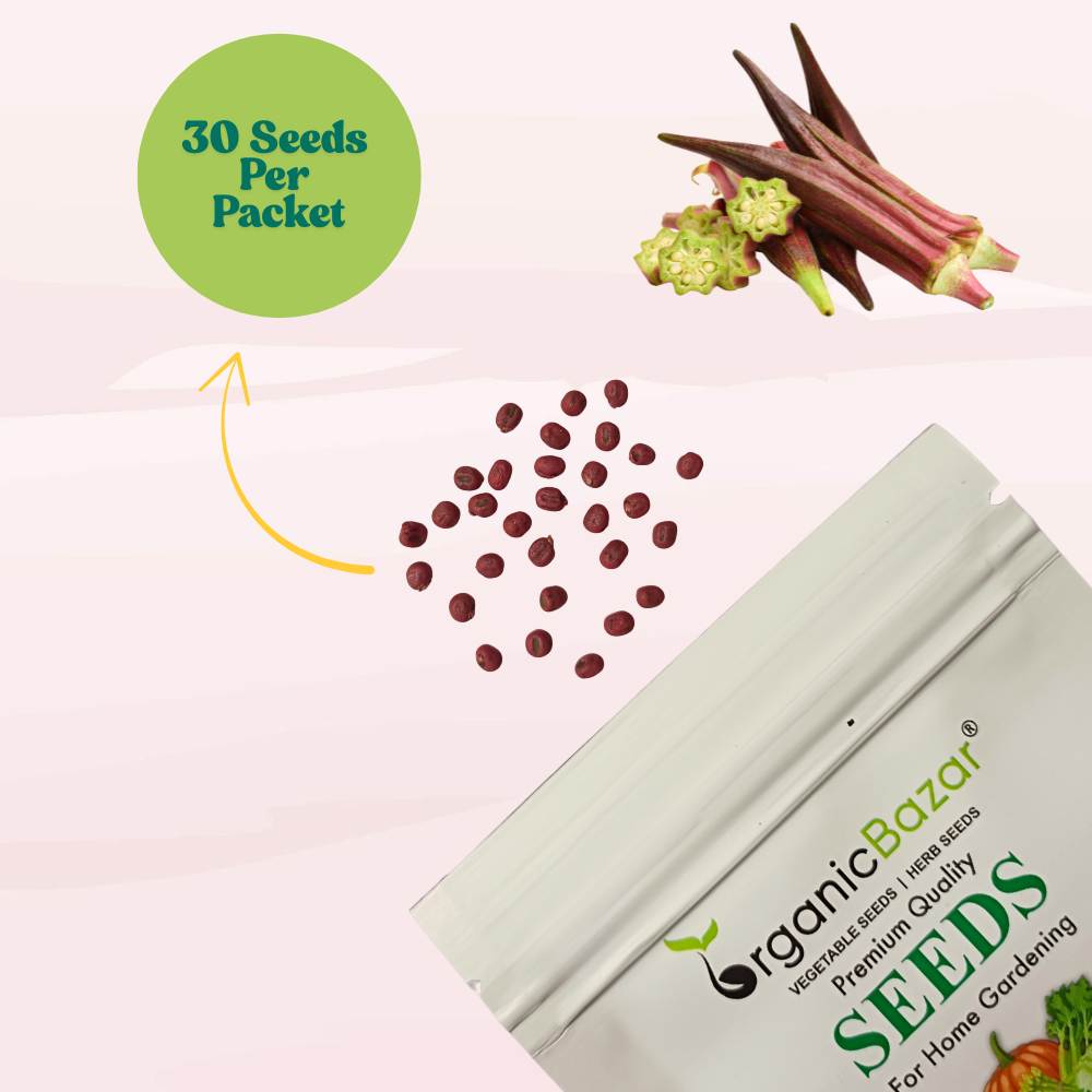 Red Okra (lal bhindi) Seeds - 30 Seeds (लाल भिंडी के बीज) Easy To grow, High Germination, High Yield Okra Seeds for Home Gardening
