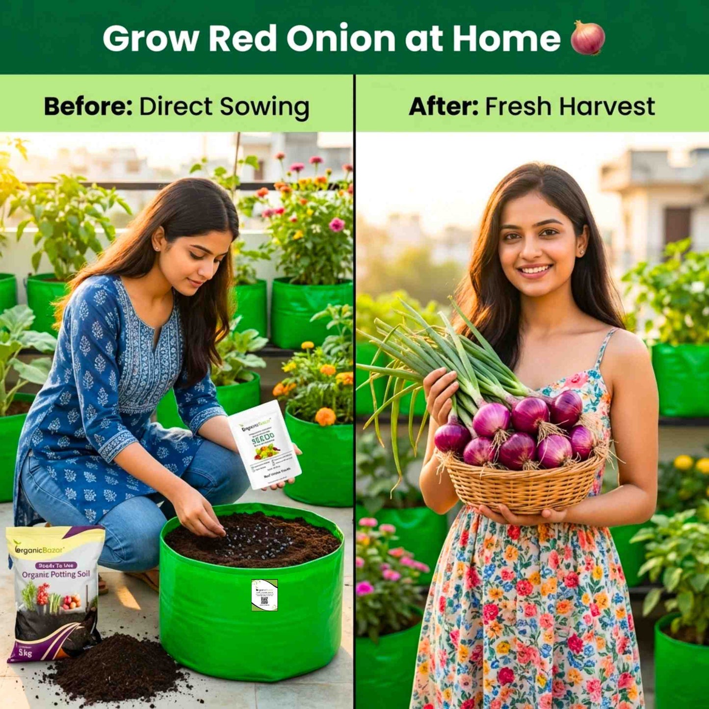 Red Onion (Lal Pyaj) Seeds - 400 Seeds (लाल प्याज के बीज) High Yield/High Germination/Best Seeds for Terrace Gardening