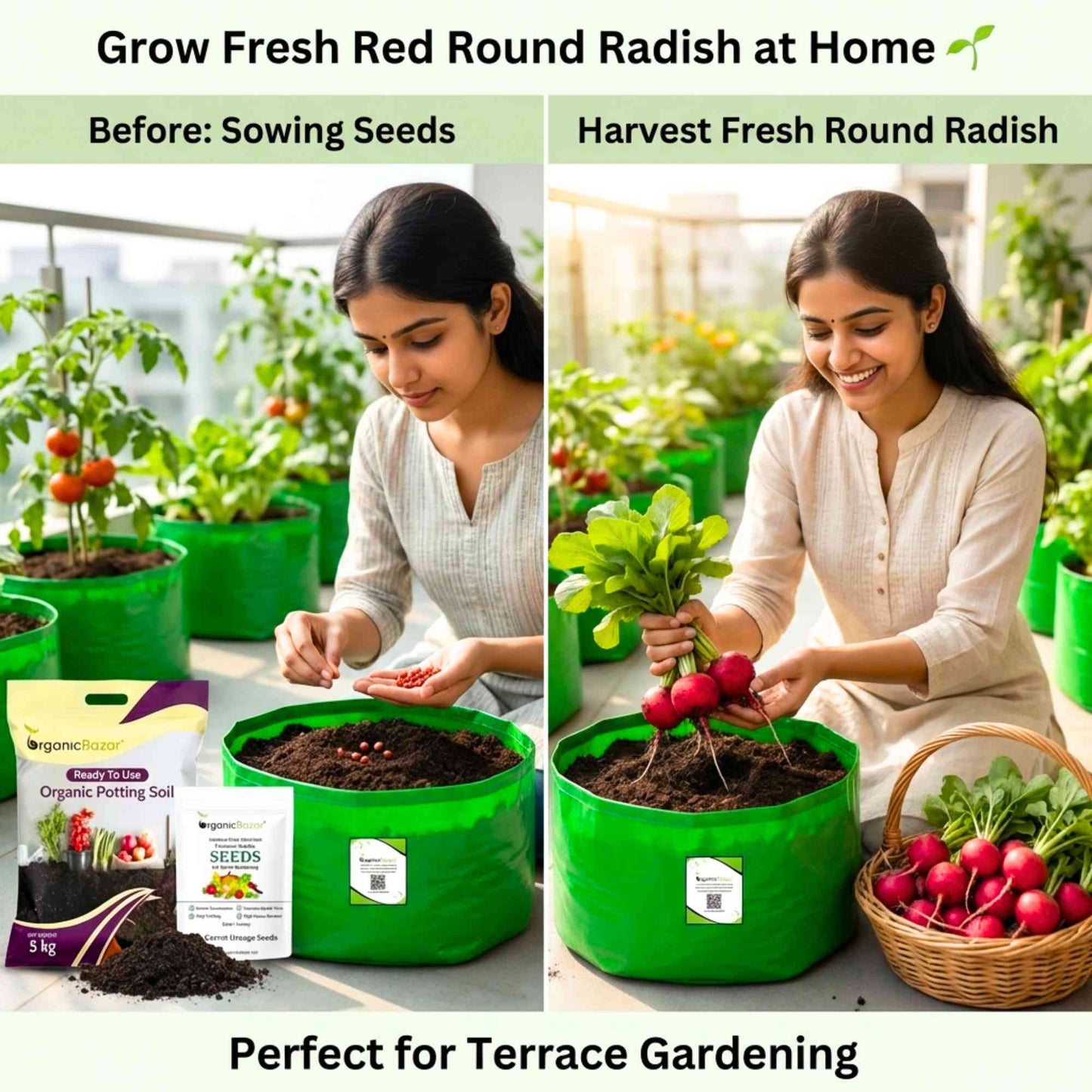 Red Round Radish Seeds - 200 Seeds (Gol Mooli/लाल गोल मूली के बीज)