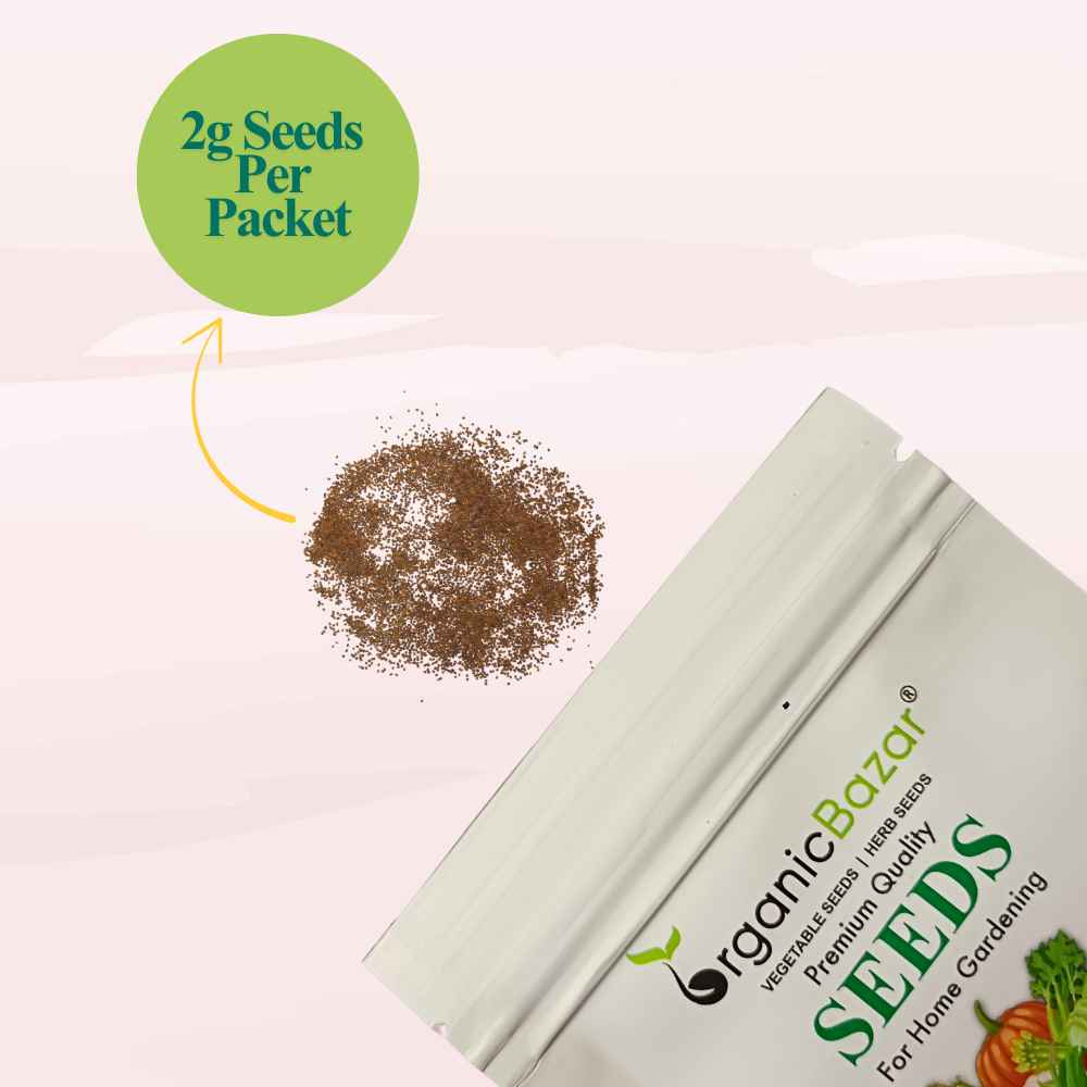 Rocket Microgreen Seeds (2g Seeds)