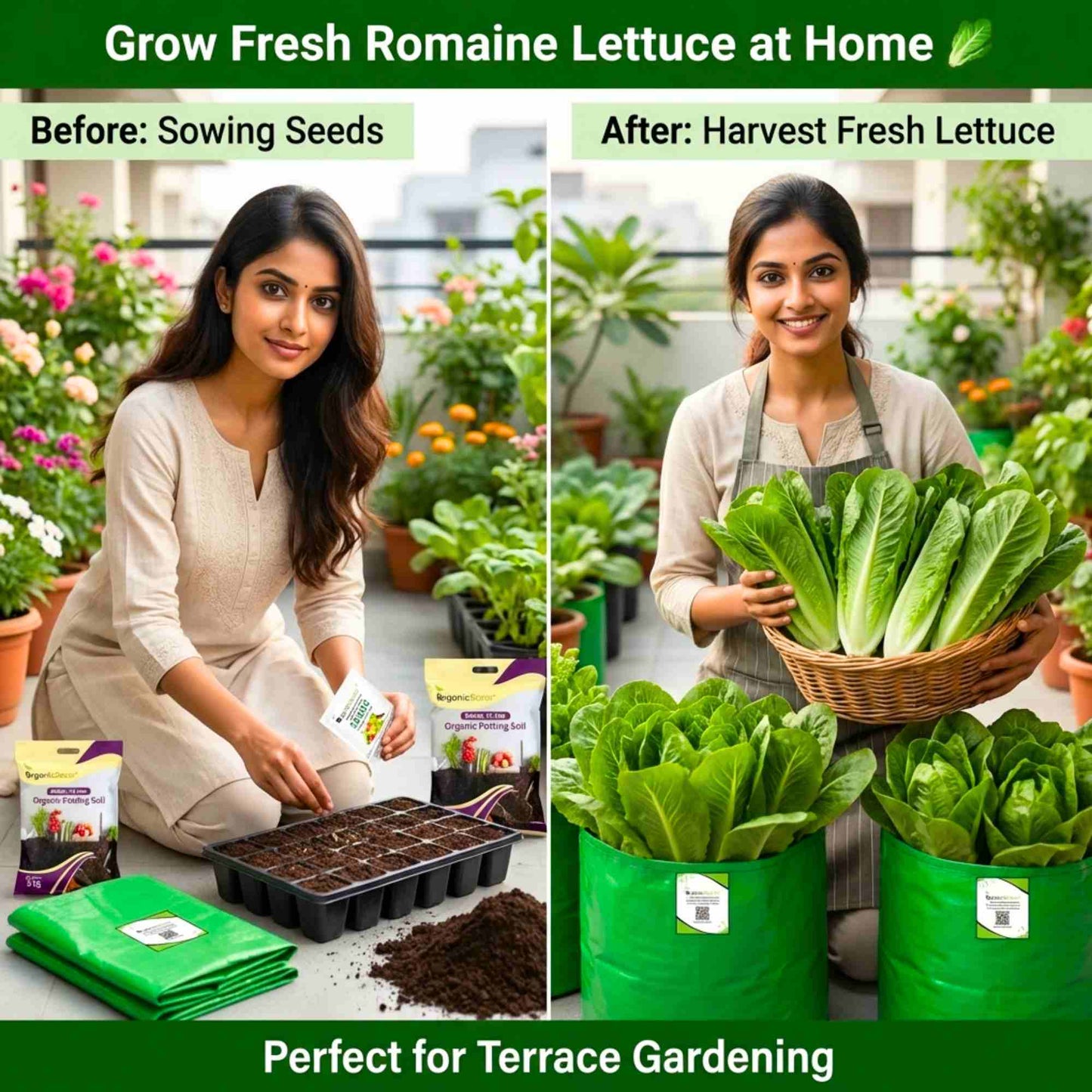 Romaine Lettuce Seeds (300 Seeds) Easy To Grow, High Germination, Leafy Vegetable Seeds for Balcony, Terrace Garden