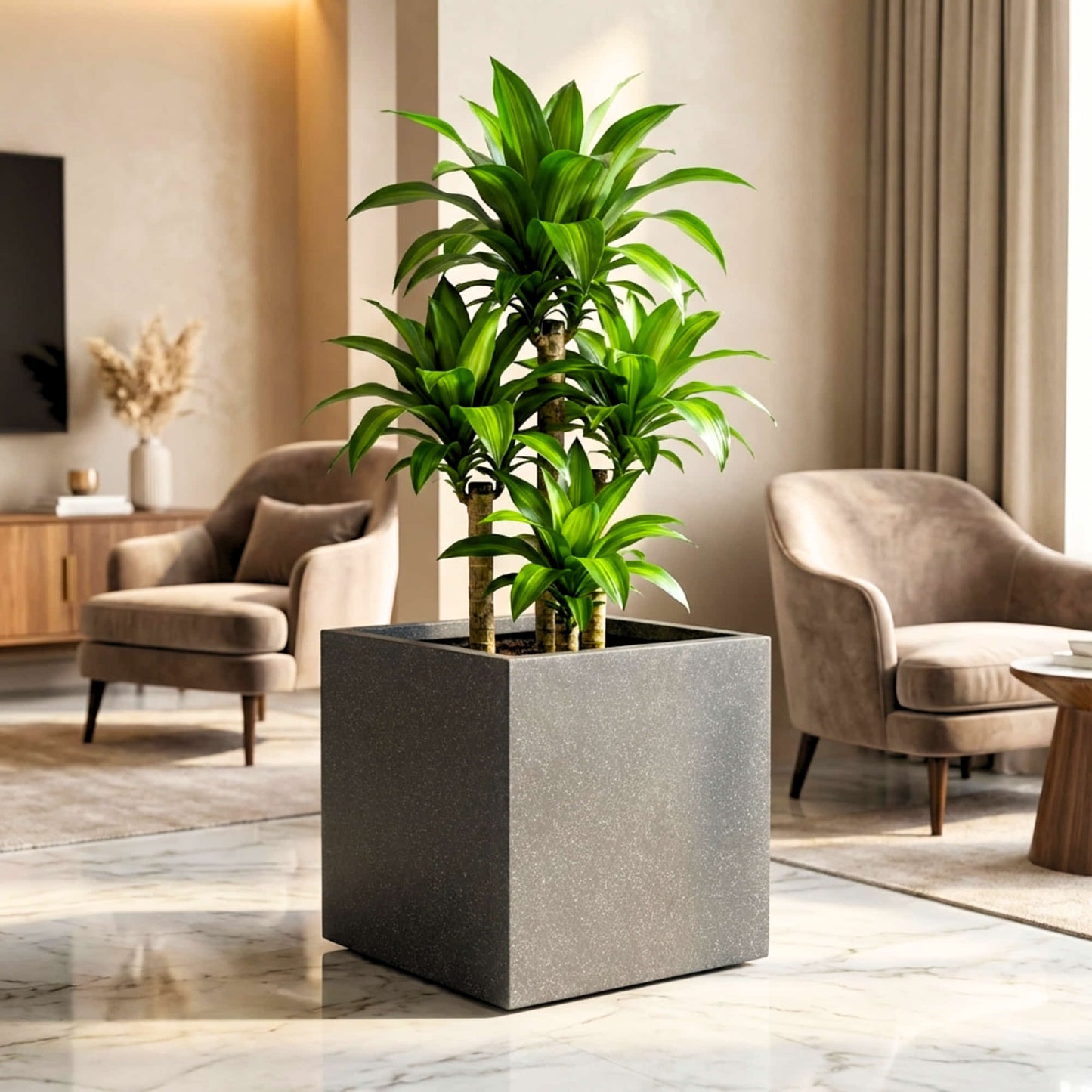 Cubicis Roto Moulded Square Luxury Planter Pot with 10+ Years Durability | Terrazzo Finish Roto Container | Durable, Lightweight & Weatherproof Pot for Garden, Balcony & Living Room