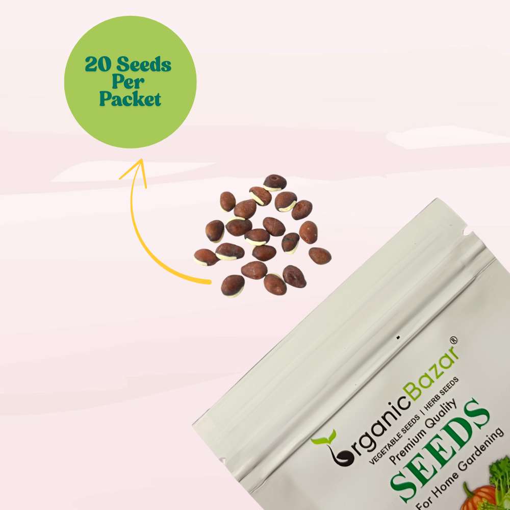 Sem Phali/Lima Beans Seeds Bush Type - 20 Seeds (सेम फली के बीज) Easy To grow, High Germination, High Yield Seeds for Home Gardening