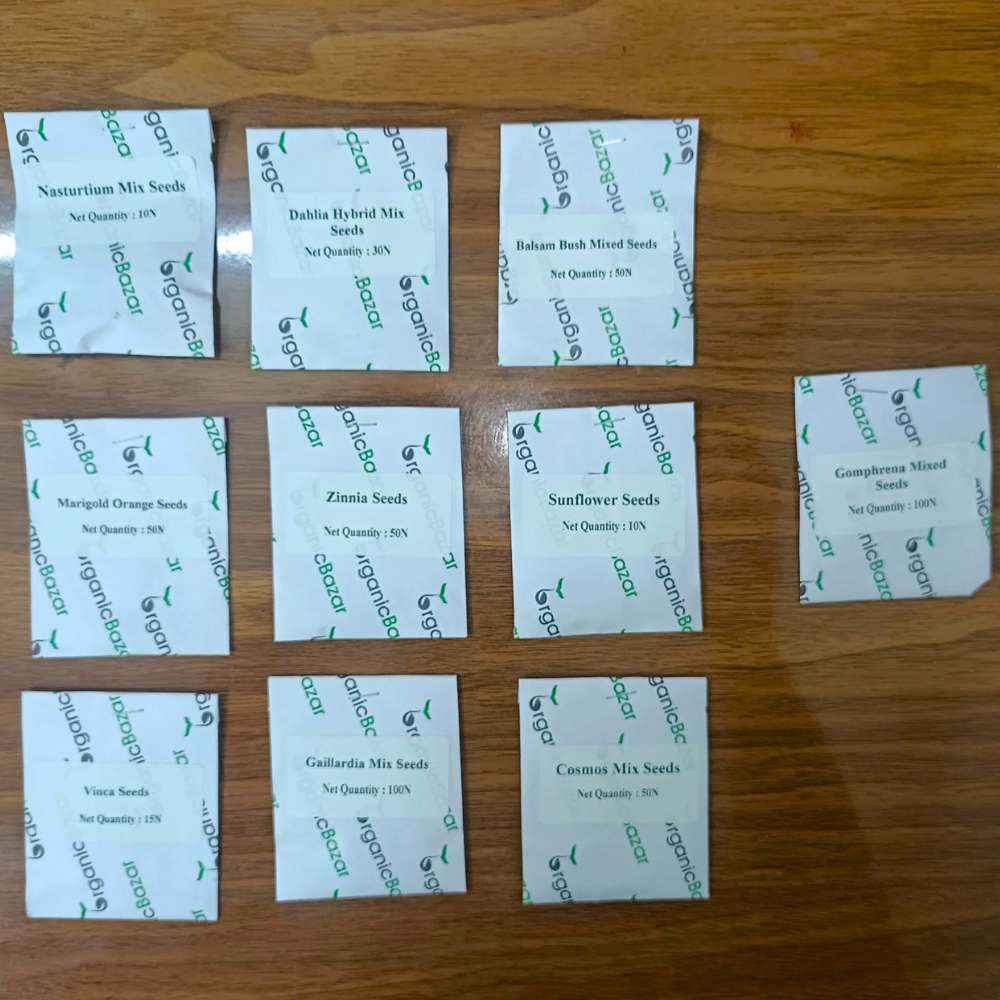 Set of 10 Summer Season Flowers Seed kit