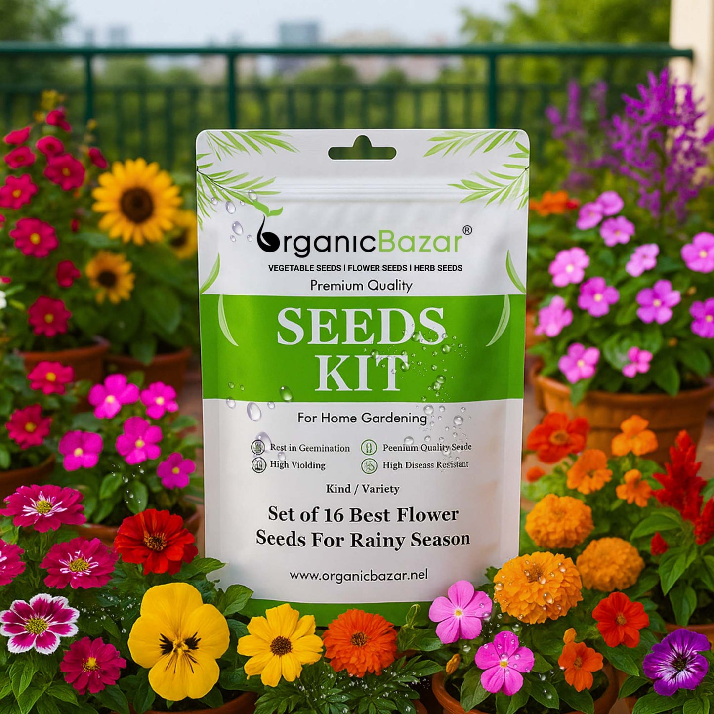 Set of 16 Best Flower Seeds For Rainy Season
