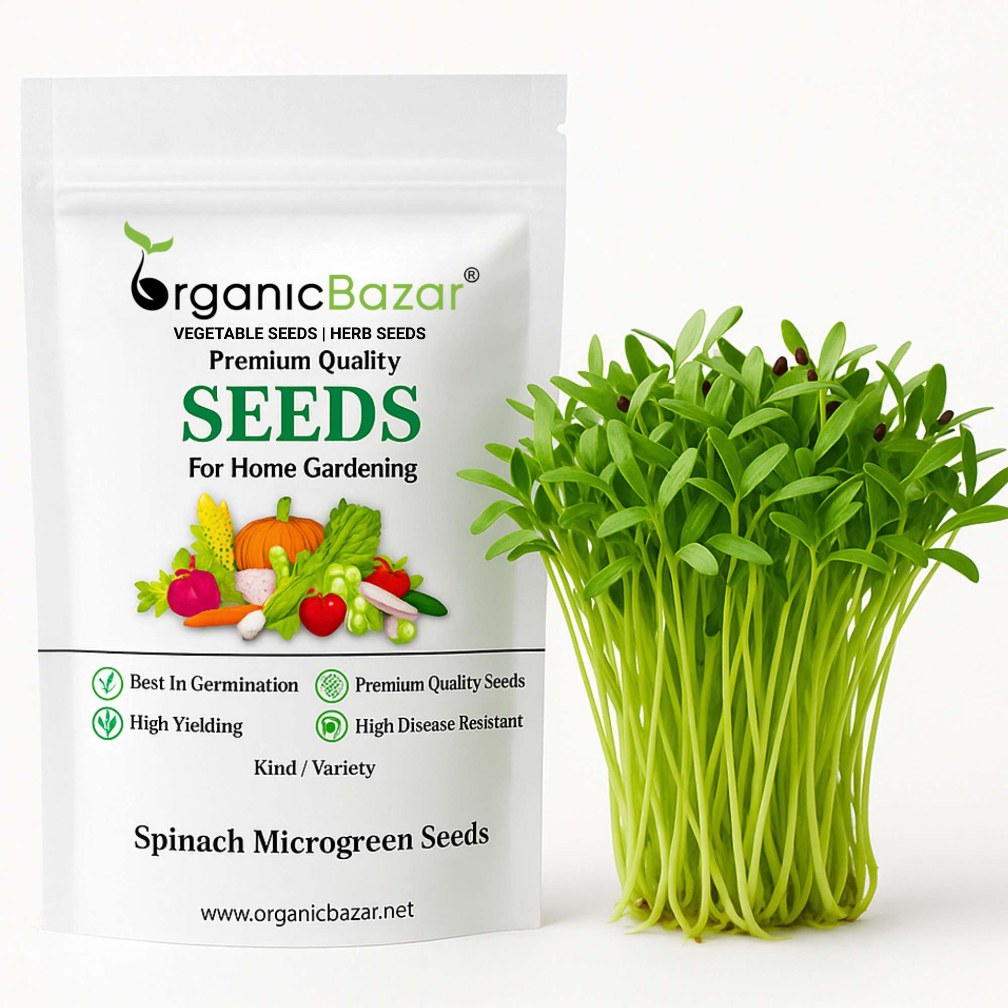 12+ Spinach Microgreen Seeds 12+ Spinach Microgreen Seeds