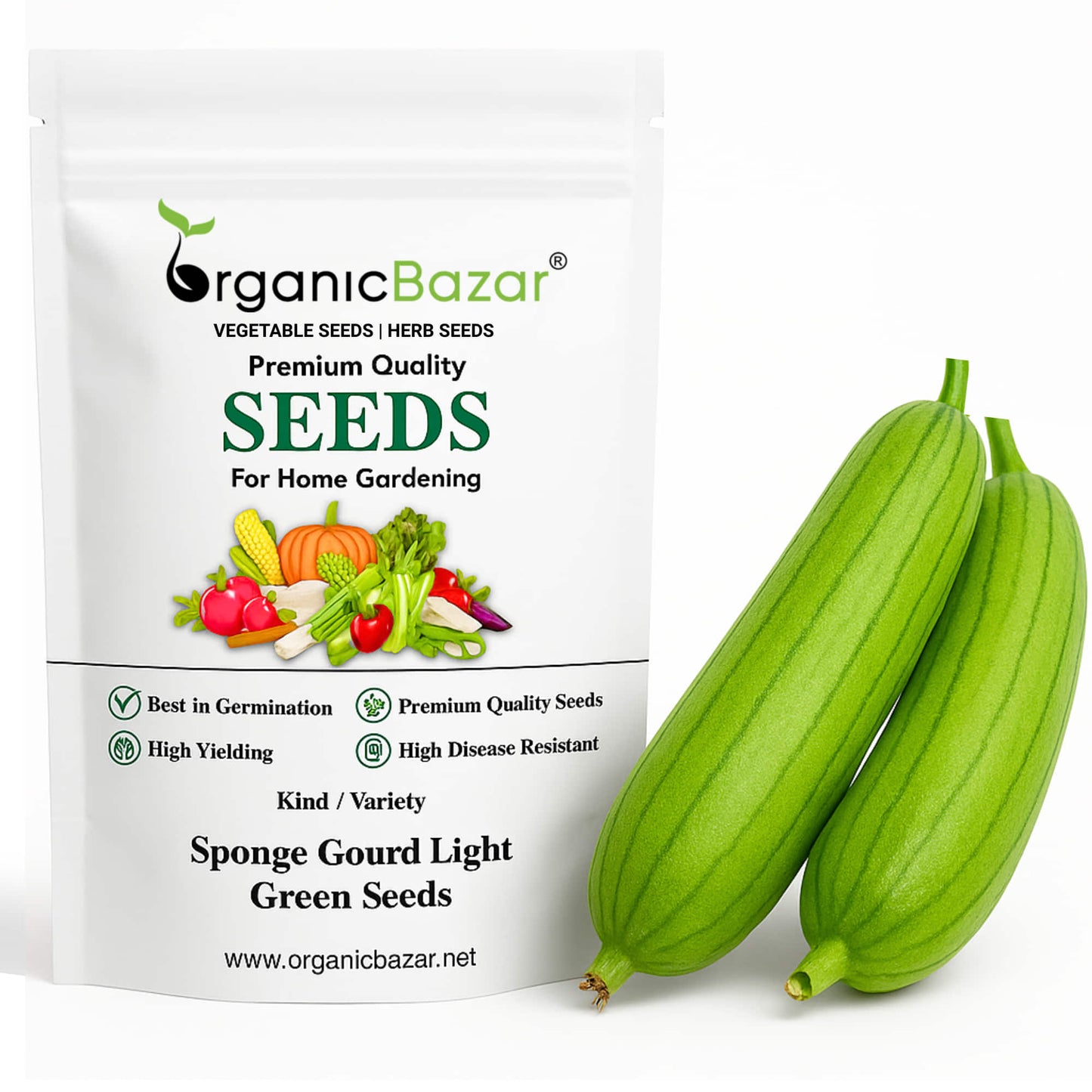 Sponge Gourd Light Green Seeds - 12 Seeds (Luffa/Gilki/गिलकी के बीज) Easy To grow, High Germination, High Yield Seeds for Home Gardening