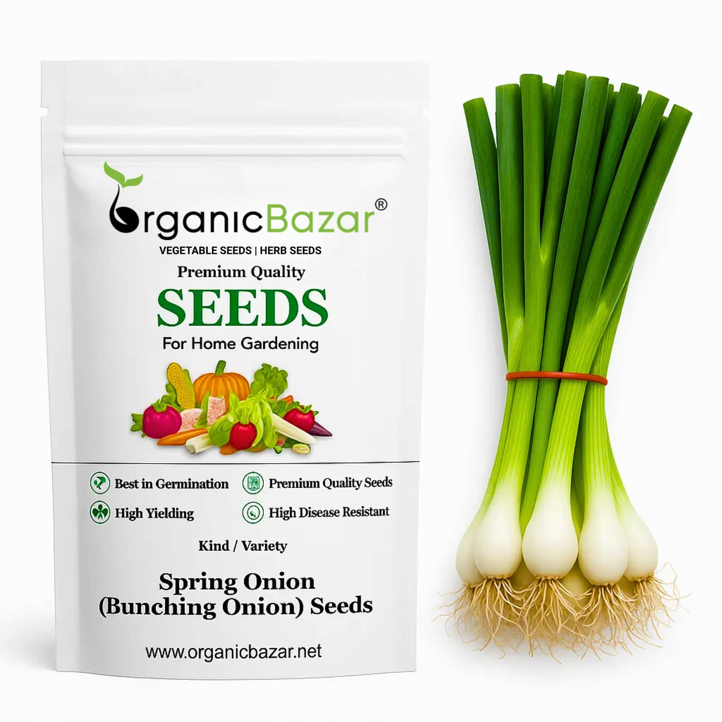 Spring Onion (Bunching Onion) Seeds - 500 Seeds ( Hari Pyaj/हरी प्याज के बीज) High Germination/Best Seeds for Terrace Gardening