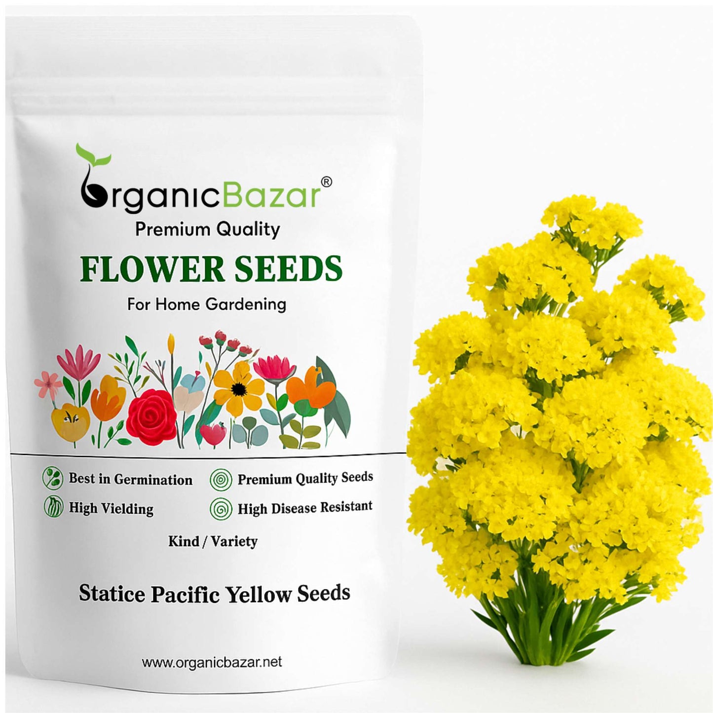Statice Pacific Yellow seeds (50 Seeds) High Germination/ Easy To grow/ Perfect for pots, balconies, or Terrace gardens
