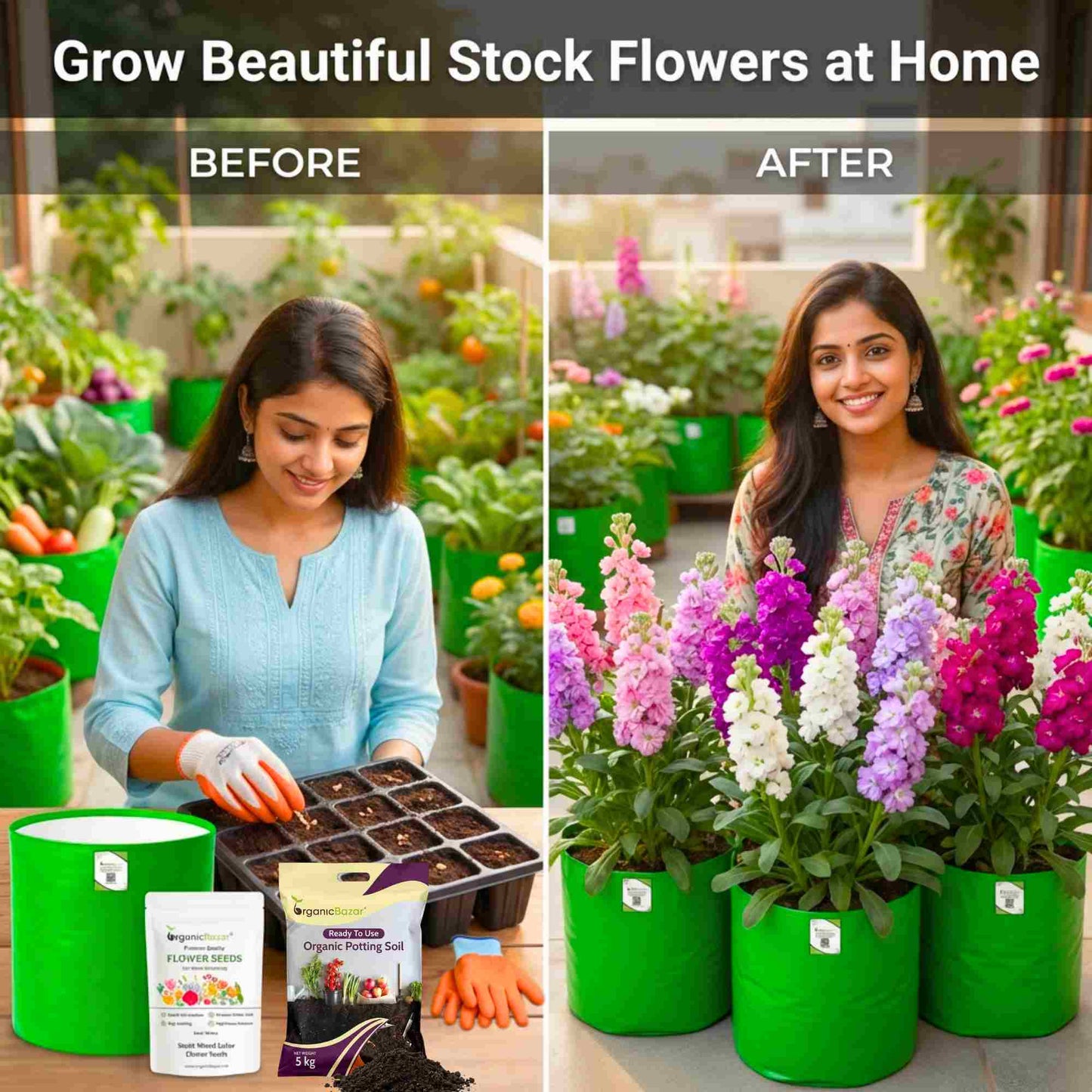 Stock Mixed Color Flower Seeds (100 Seeds) High Germination/ Easy To grow/ Perfect for pots, balconies, or Terrace gardens