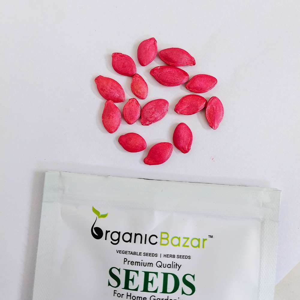 Summer Squash (Chappan Kaddu) Light Green Seeds (15 Seeds)