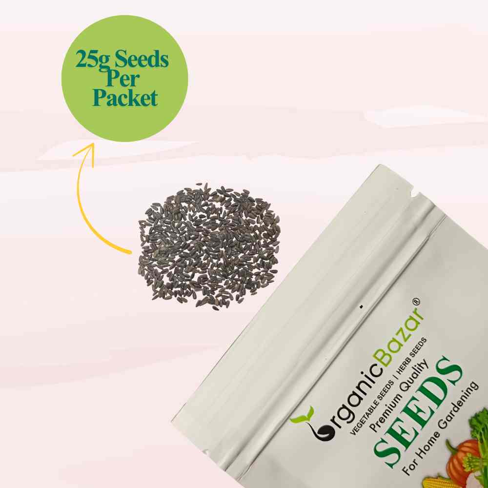 Sunflower Microgreen Seeds (25g Seeds)
