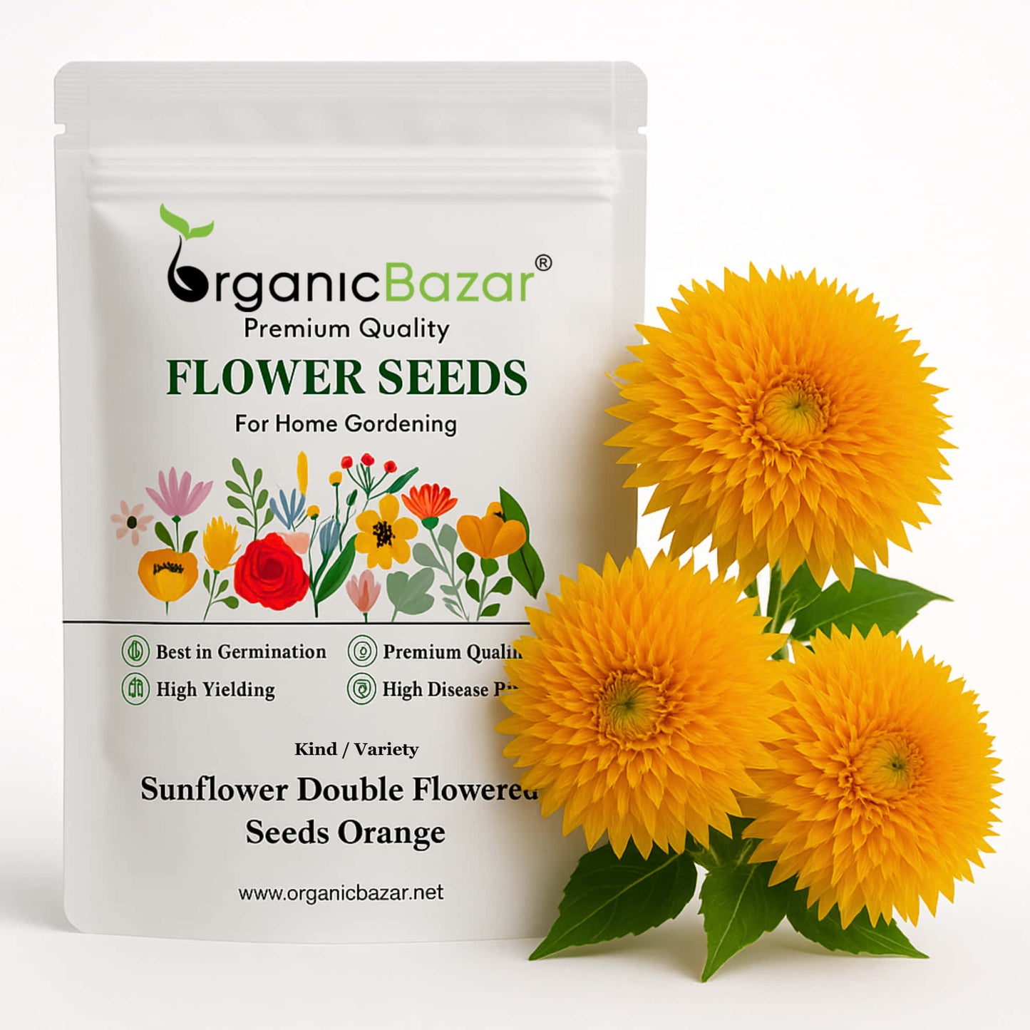 Sunflower Double Flowered Seeds Orange - 20 Seeds (Surajmukhi/सूरजमुखी के बीज) High Germination/ Easy To grow/ Perfect For Terrace gardening