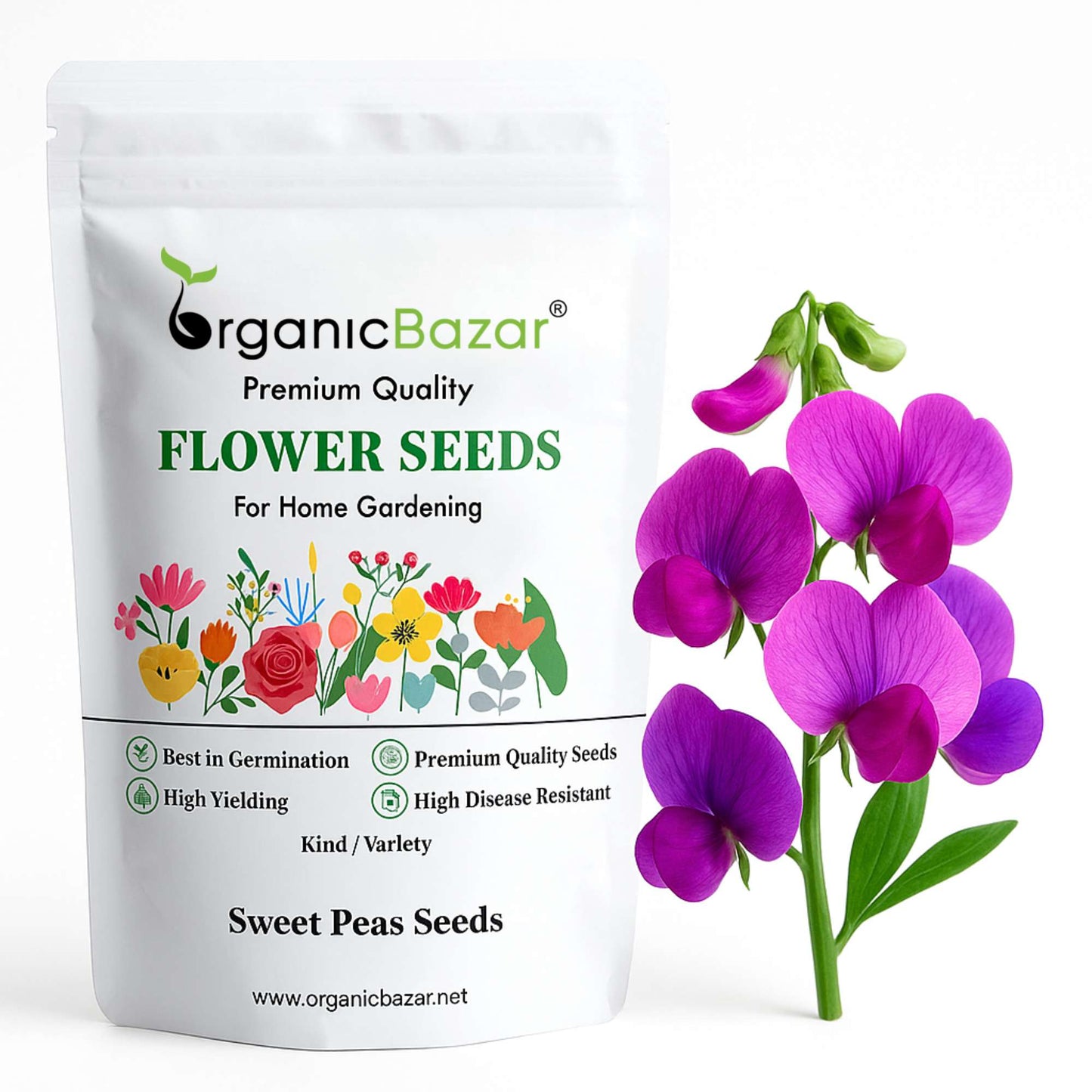 Sweet Peas Seeds (40 Seeds) High Germination/ Easy To grow/ Perfect for pots, balconies, or Terrace gardens