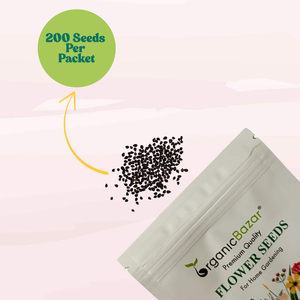 Sweet William Wee Willie Mix Seeds (200 Seeds) High Germination/ Easy To grow/ Perfect for pots, balconies, or Terrace gardens