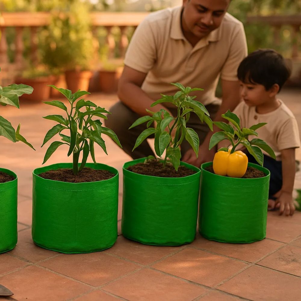 Terrace Gardening Kit for Beginners 14 Different Product in 1 kit