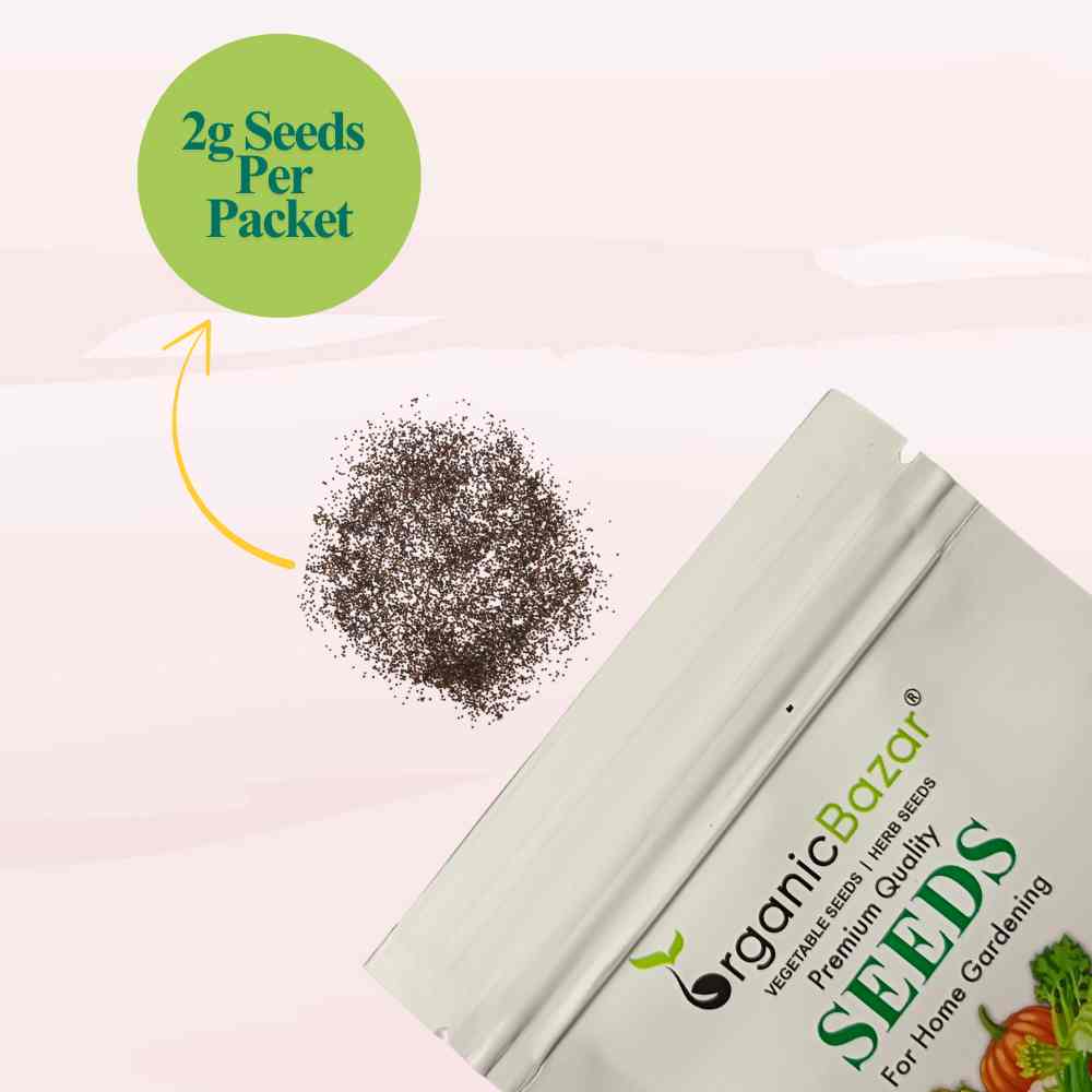 Thyme Microgreen Seeds (2g Seeds)