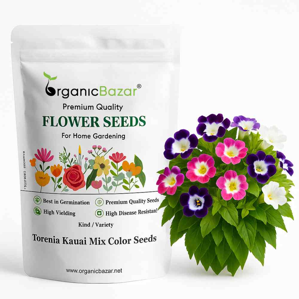 torenia flower seeds Torenia Kauai Mix Color Flower Seeds (30 Seeds) Wishbone Flower Seeds – Organicbazar