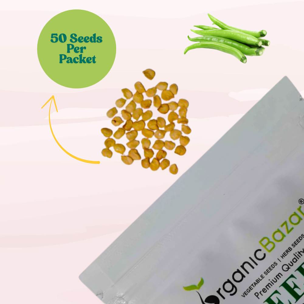 Untreated Chilli Seeds For Organic Gardening - 50 Seeds (Mirch/ मिर्च के बीज)