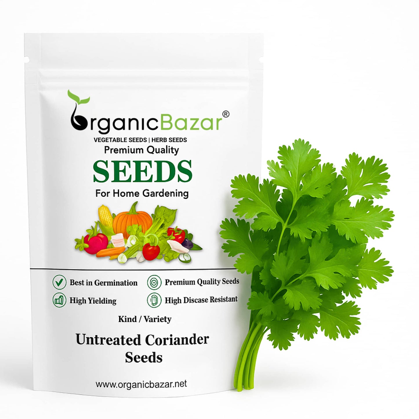 Untreated Coriander (Dhaniya) Seeds For Organic Gardening (धनिया के बीज)