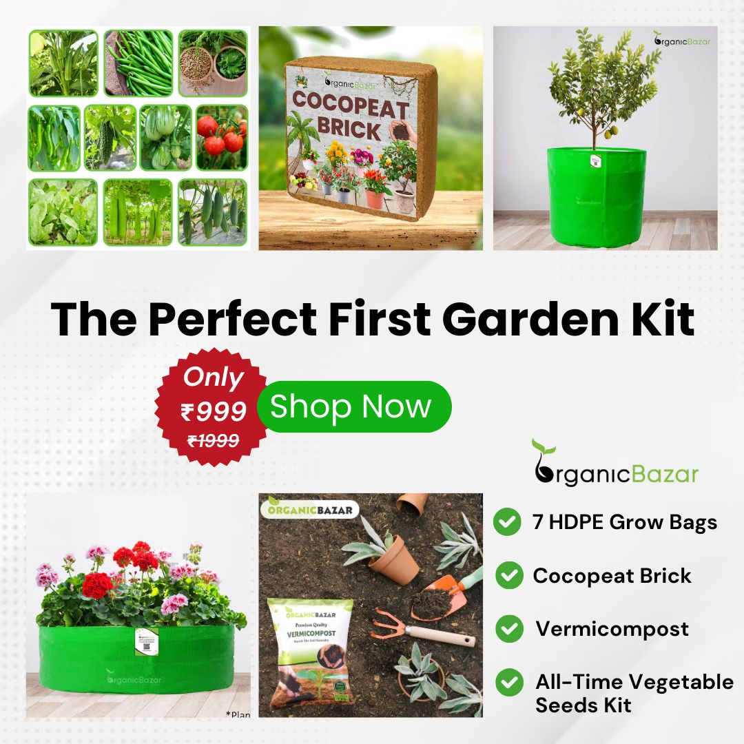 OrganicBazar Easy Vegetable Gardening Kit for Home Garden - Starter Kit