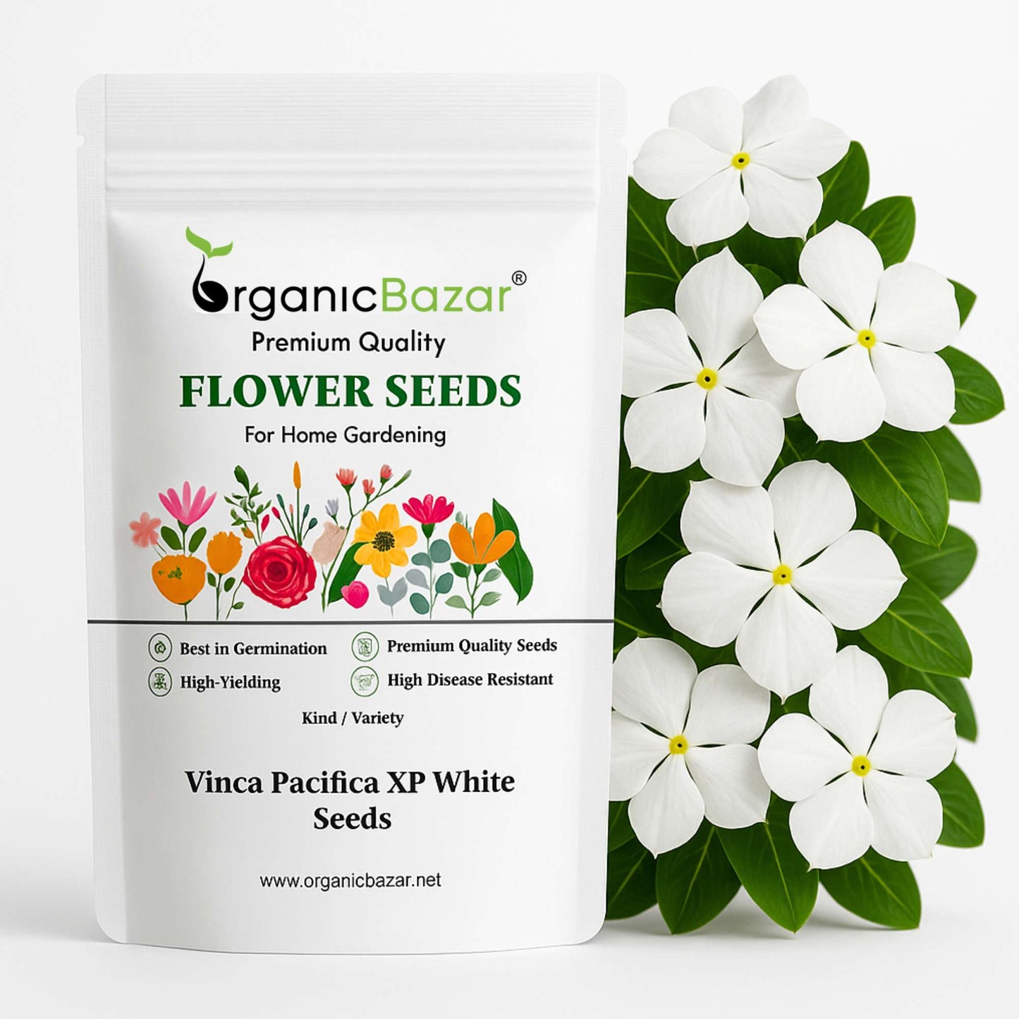 Vinca Pacifica XP White Seeds - 25 Seeds (Periwinkle/ Sadabahar/सदाबहार के बीज) High Germination, Annual Flower Seeds for Terrace Gardening