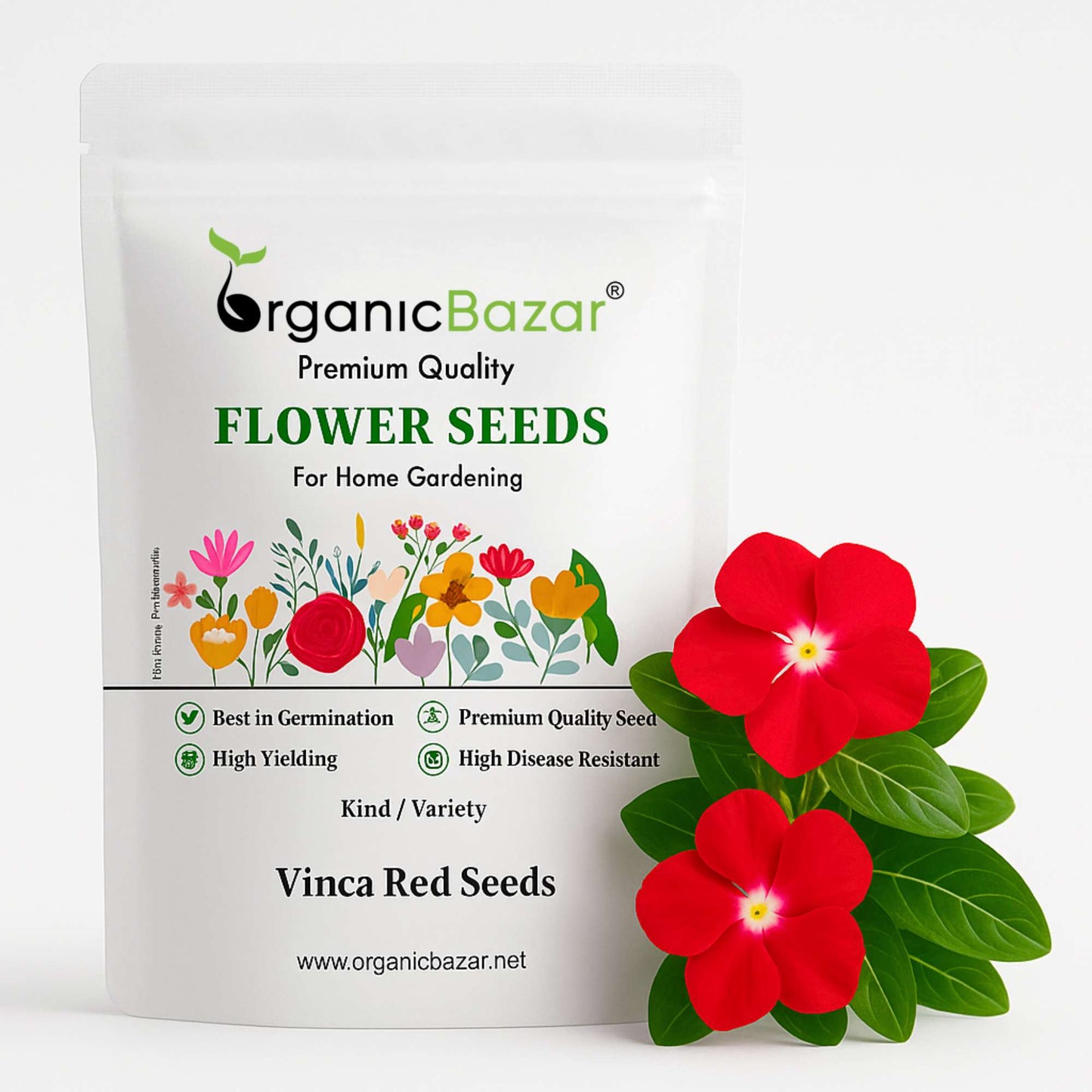 Vinca Red Seeds (Periwinkle/ Sadabahar/सदाबहार के बीज) High Germination, Annual Flower Seeds for Terrace Gardening