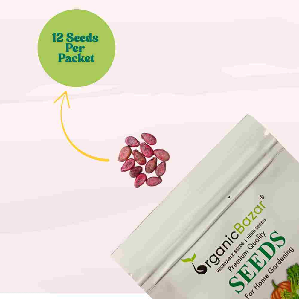 Watermelon Oval Dark Green Seeds - 12 Seeds(Tarbooj/तरबूज के बीज)