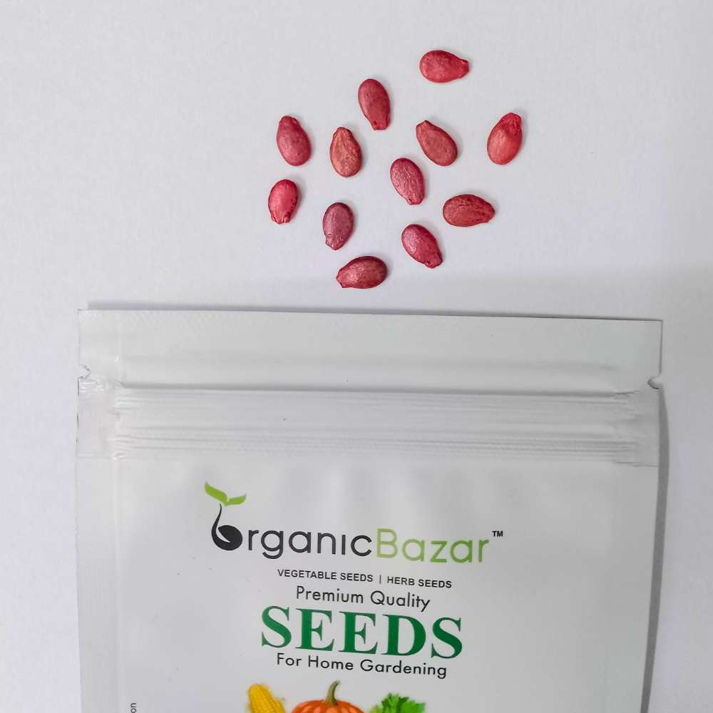 Watermelon Round Black Seeds - 12 Seeds (Tarbooj/तरबूज के बीज)