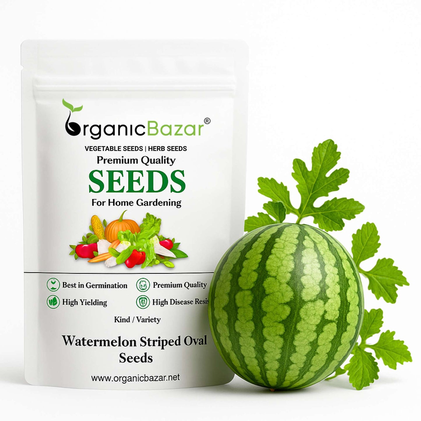 Watermelon Striped Oval Seeds - 12 Seeds (Tarbooj/तरबूज के बीज)