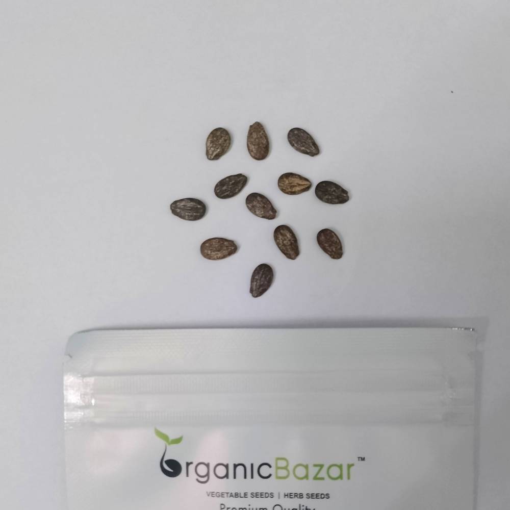 Watermelon Yellow Seeds - 12 Seeds (Pila Tarbooj/पीला तरबूज के बीज)