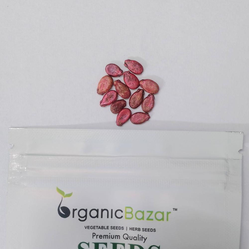 Watermelon Oval Dark Green Seeds - 12 Seeds(Tarbooj/तरबूज के बीज)