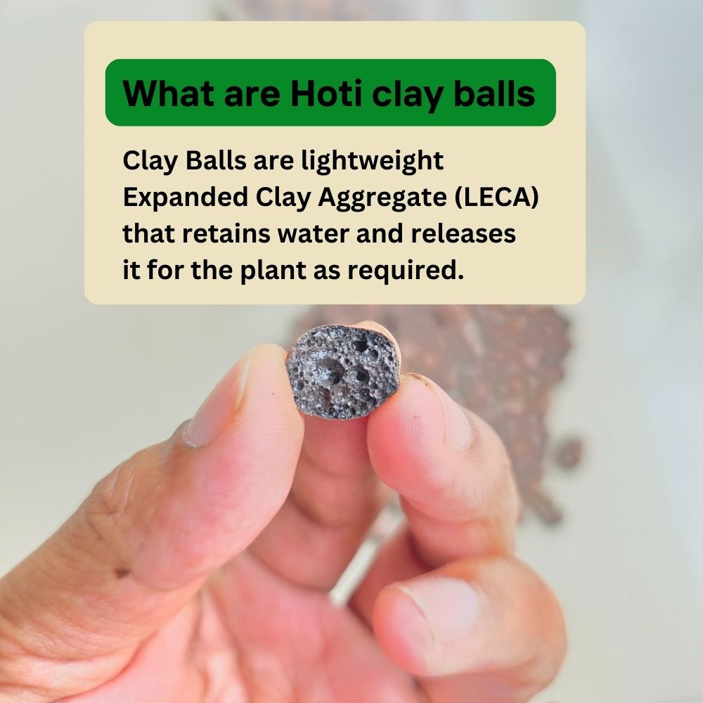 Clay Balls for Plants (LECA) – 8–15 mm | Lightweight Expanded Clay Aggregate - 450 g