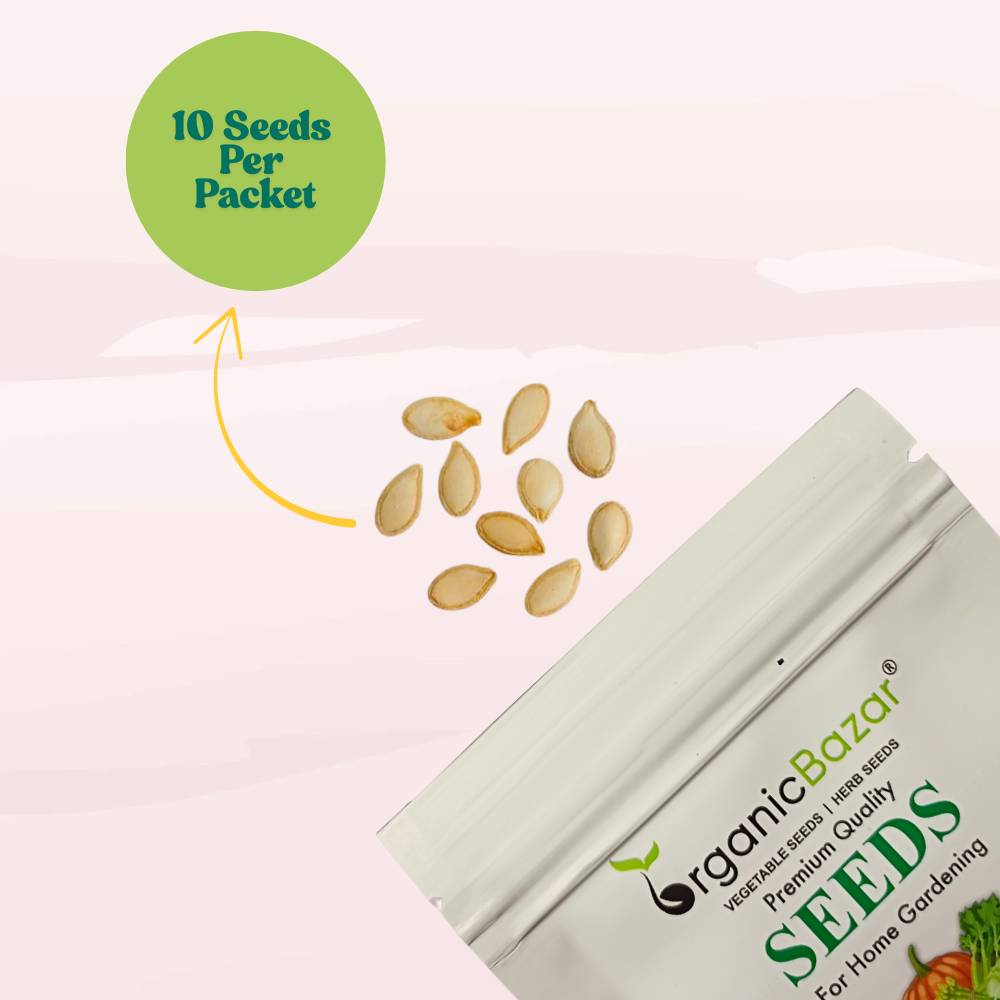 Winter Squash (Pumpkin) Seeds (10 Seeds) Easy To grow, High Germination, High Yield Seeds for Home Gardening