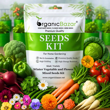 Winter Vegetable and Flower Mixed Seeds Kit - 20 Best Winter Vegetable And Flowers Seeds for Terrace Gardening 🌱❄️