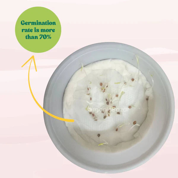 Yellow Grapes Cherry Tomato Seeds (F1 Hybrid) - 30 Seeds (Tamatar/टमाटर के बीज) High Germination/ Easy to Grow/ Ideal for Terrace/Kitchen Gardening