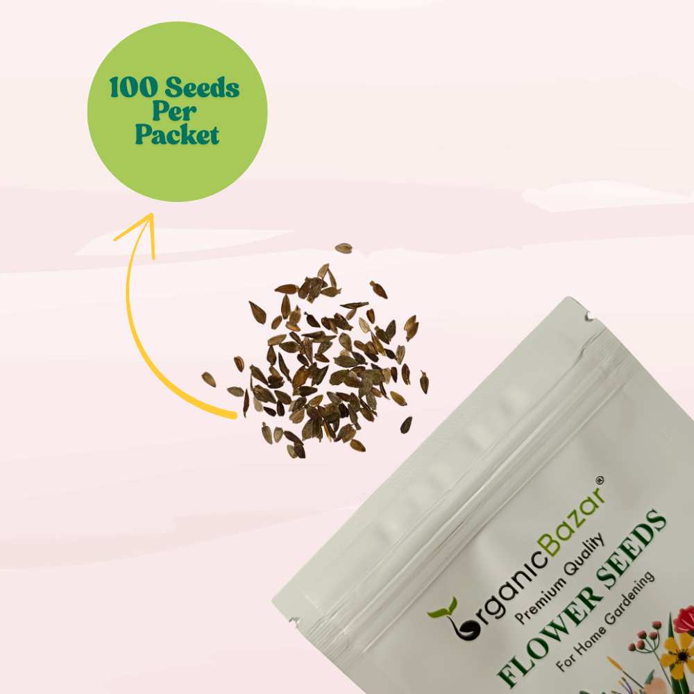 Zinnia Orange Flower Seeds (100 Seeds) High Germination/ Easy To grow/ Perfect for pots, balconies, or Terrace gardens