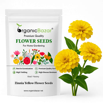 Zinnia Yellow Flower Seeds (100 Seeds) High Germination/ Easy To grow/ Perfect for pots, balconies, or Terrace gardens