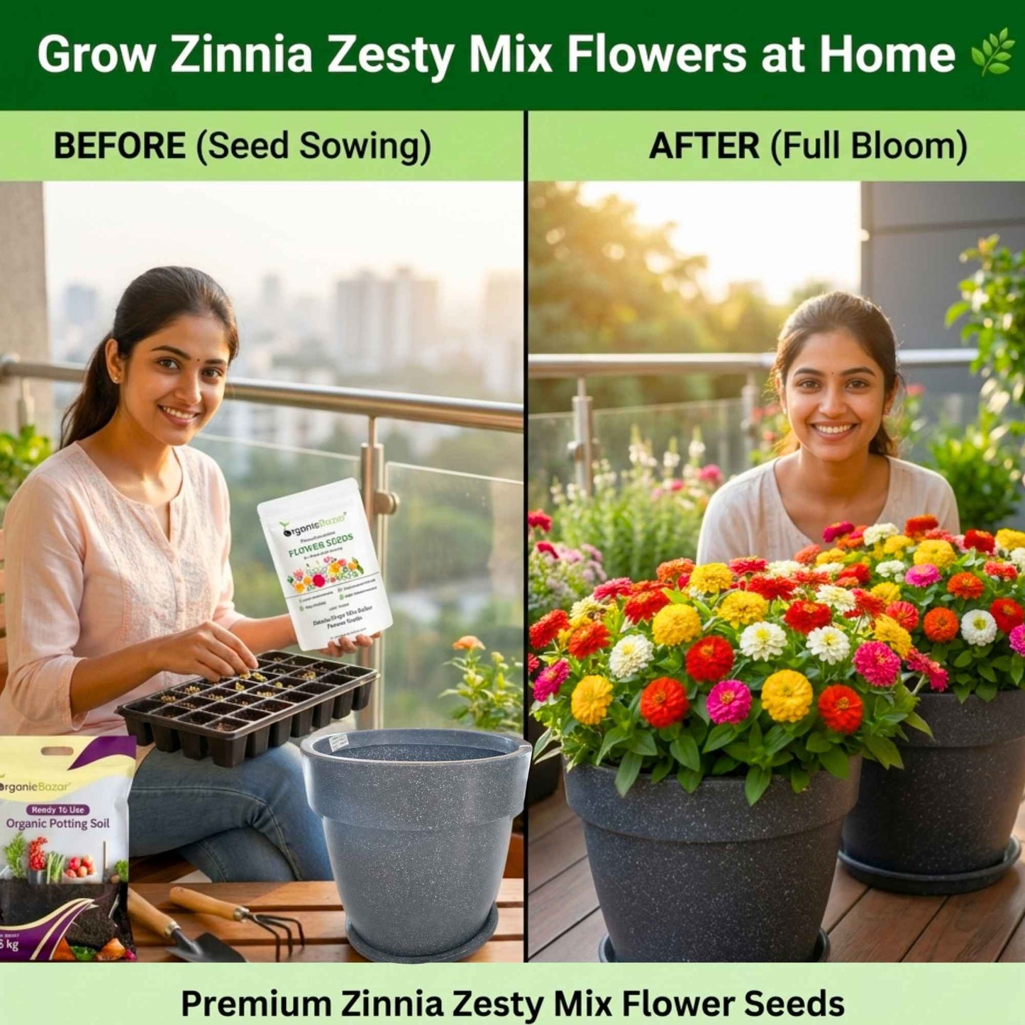 Zinnia Zesty Mix Color Flower Seeds (20 Seeds) High Germination/ Easy To grow/ Perfect for pots, balconies, or Terrace gardens