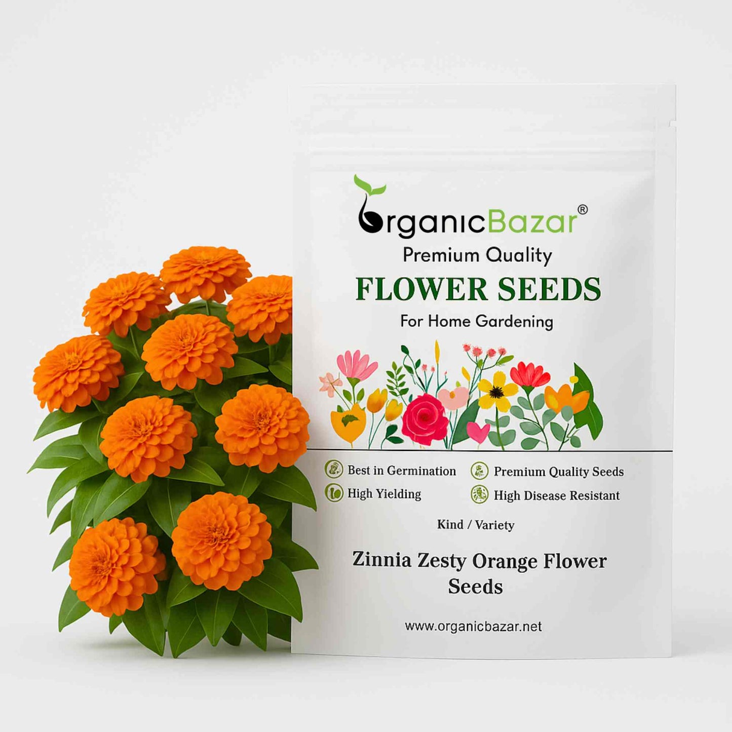 Zinnia Zesty Orange Flower Seeds (20 Seeds) High Germination/ Easy To grow/ Perfect for pots, balconies, or Terrace gardens