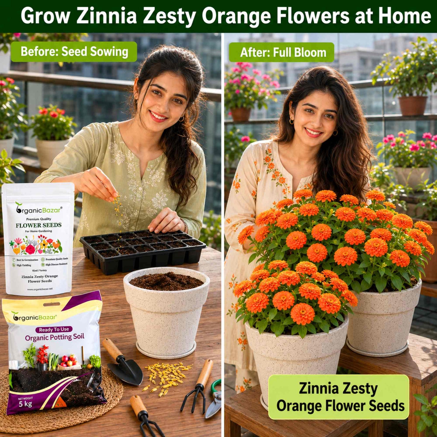 Zinnia Zesty Orange Flower Seeds (20 Seeds) High Germination/ Easy To grow/ Perfect for pots, balconies, or Terrace gardens