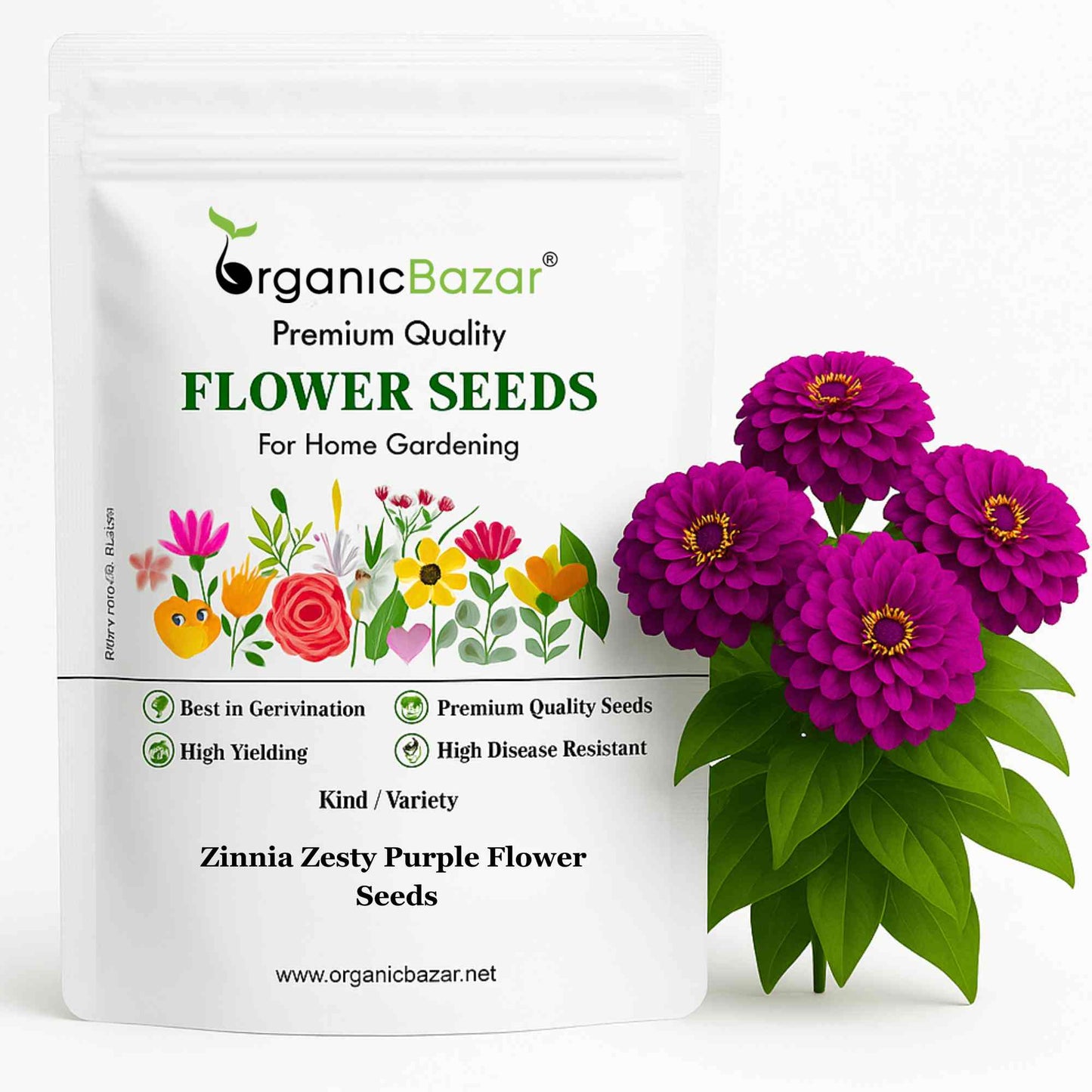Zinnia Zesty Purple Flower Seeds (20 Seeds) High Germination/ Easy To grow/ Perfect for pots, balconies, or Terrace gardens