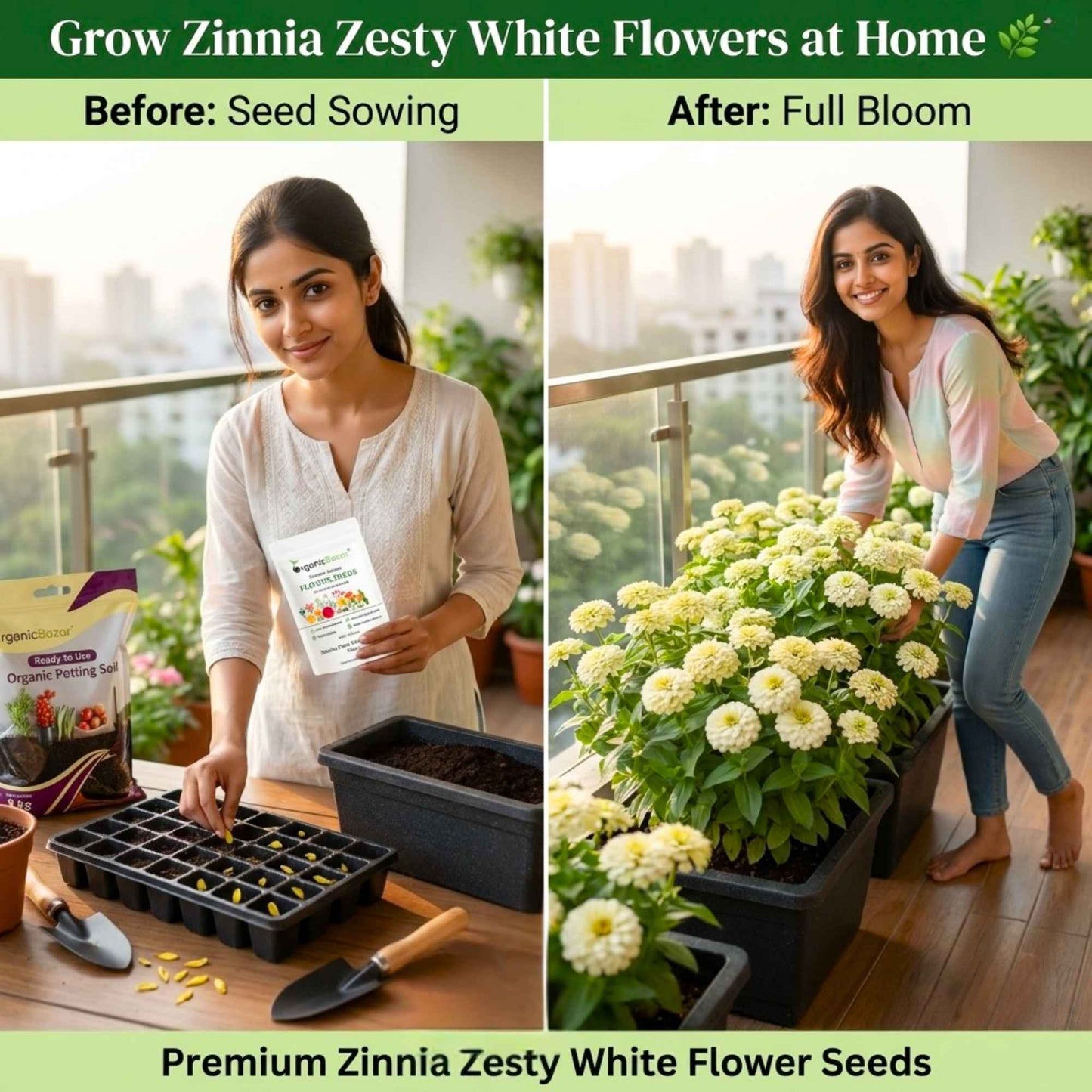 Zinnia Zesty White Flower Seeds (20 Seeds) High Germination/ Easy To grow/ Perfect for pots, balconies, or Terrace gardens