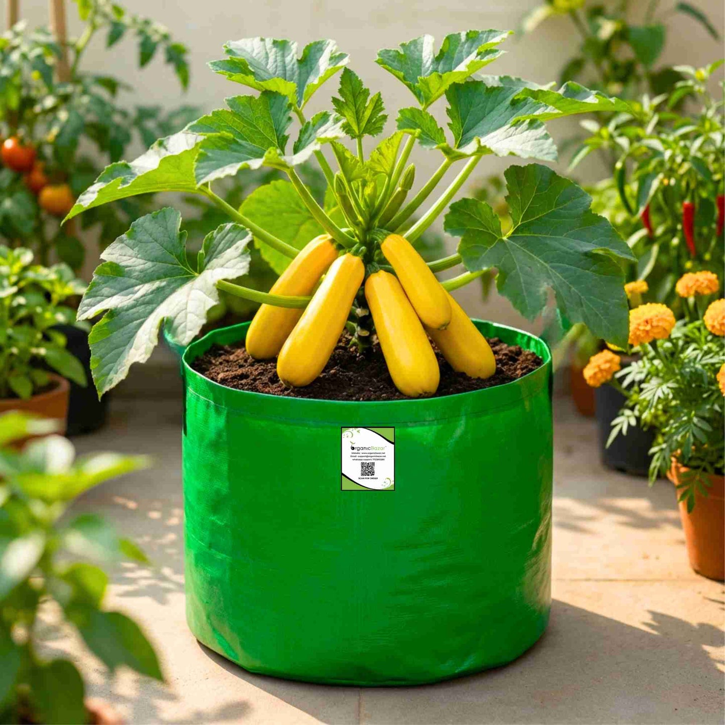 Zucchini Yellow Seeds - 15 Seeds (पीली जुकिनी के बीज)