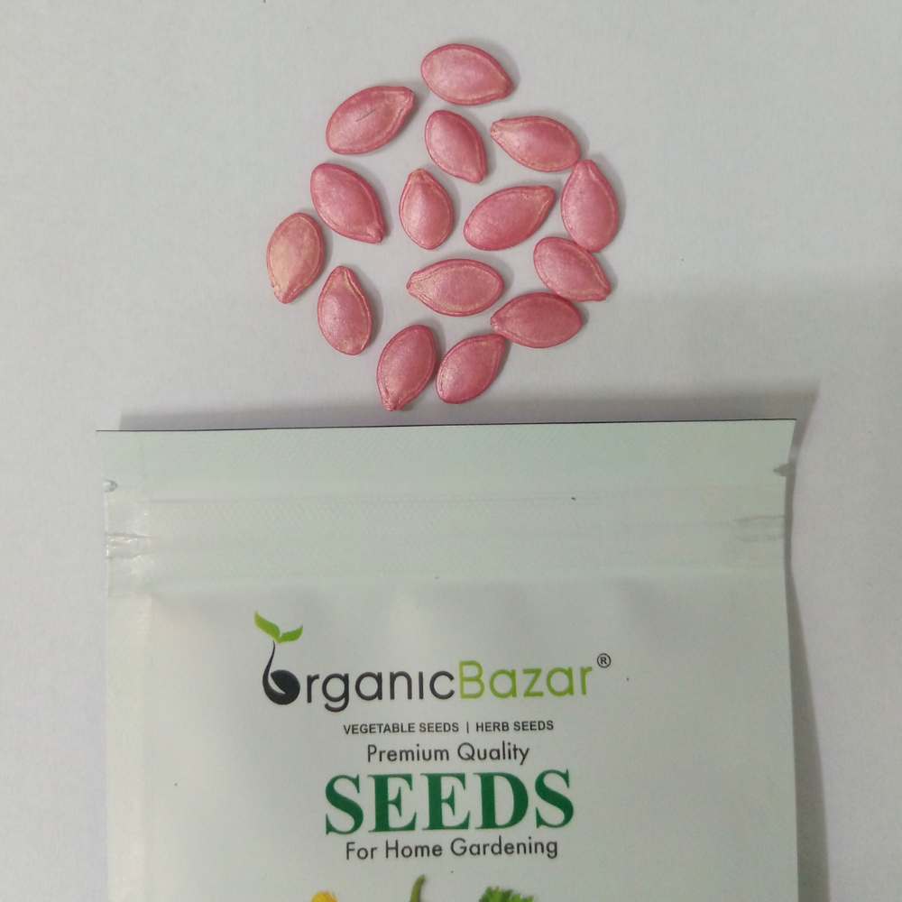 Zucchini Yellow Seeds - 15 Seeds (पीली जुकिनी के बीज)